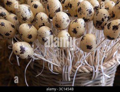 Spotted quail eggs are arranged beautifully on delicate sticks, providing a lovely Easter decoration. Stock Photo