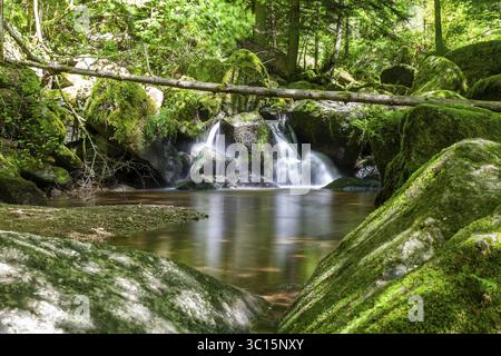 Small waterfall in the forest flows over moss-covered rocks, a fallen tree trunk above Stillenbachklamm Muehlviertel Upper Austria Stock Photo