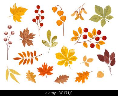 Autumn decor set – tree leaves, flowers, berries and mushrooms. Collection of autumn leaves and fruits for pattern, banner, sticker, greeting card. Stock Vector