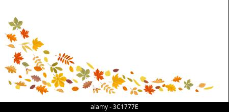 Falling autumn leaves. Flying orange and yellow foliage isolated on white background. Stock Vector