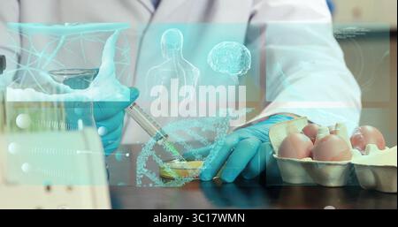 Pipetting scientist in lab coat transferring yolk into petri dish at lab, with pipette, egg carton Stock Photo