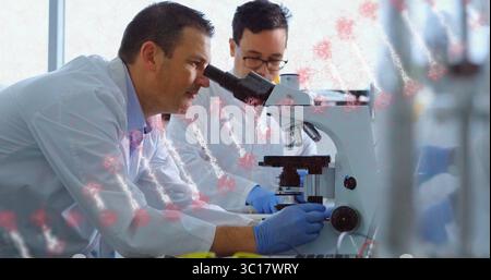 Leaning scientist in lab coat, gloves examining microscope slide in lab, virus graphics, copy space Stock Photo