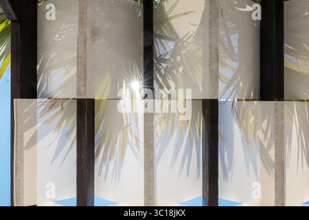 Sunshade with palm frond silhouettes – sunlight filters through the leaves, casting delicate shadows on the translucent fabric.La Palma, Canaries. Stock Photo