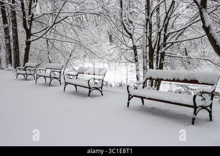 Row of benches in the park covered in snow. Winter day in the park Stock Photo