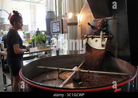 July 27, 2017 - Minneapolis, Minn, USA - United States - Jess Yockey has been a roaster with Peace Coffee for five years. In this photo, Yockey watched freshly roasted beans fall into the cooling tray of the Diedrich Roaster which has a batch capacity of 150 pounds. In 2015, Minnesota lawmakers created a new way to give back by creating a public benefit corporation -- business engaged in a do-good social enterprise. Benefit corps are businesses but they fall somewhere between a corporation and a nonprofit -- they still pay taxes and donations are not tax deductible, but they can prioritize a p Stock Photo