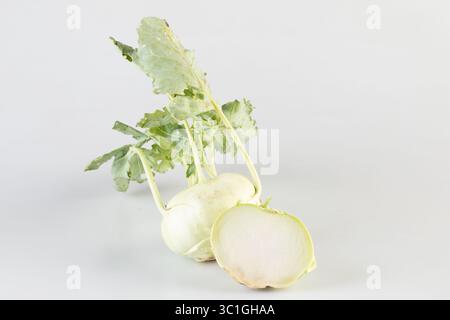 white radish isolated nature background with clipping path Stock Photo