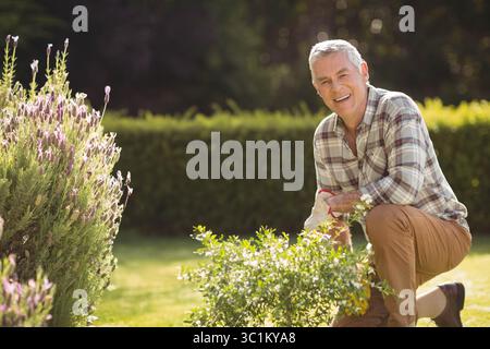 Senior man kneeling on lawn in garden trimming shrub with gardening gloves and shears, copy space Stock Photo