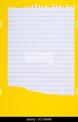 Torn spiral notebook page isolated on background Stock Photo