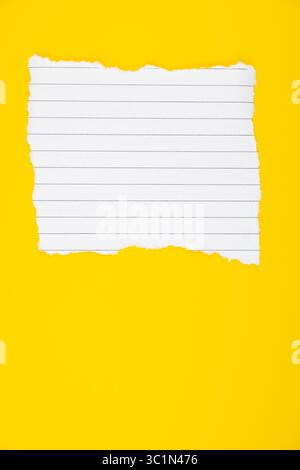vertical flat lay background with spiral notebook torn page Stock Photo