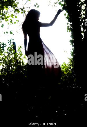 A silhouetted woman in a flowing dress reaches towards leaves in a bright, sunlit area, framed by dark foliage. Stock Photo