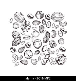 Nuts, walnuts, pecans, peanuts, pistachios, macadamias, cashews. Vector composition with nuts, hand-drawn with ink. Illustration for printing on food Stock Vector