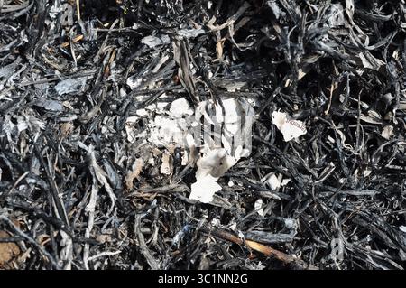 Burned Paper Ashes and Twigs Stock Photo