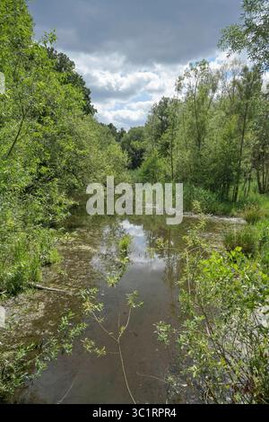 Small canal, ditch in the Tiefwerder Wiesen landscape conservation area ...