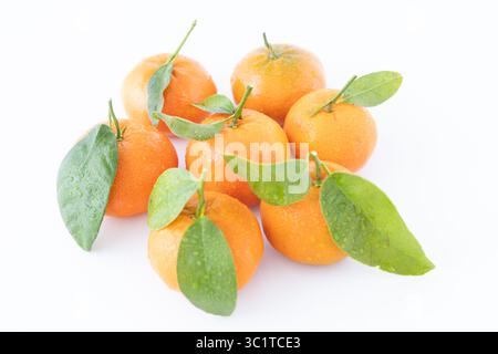 Lidl tangerines with fresh green leaves, isolated on white background — seasonal citrus fruit for commercial food concepts. Stock Photo