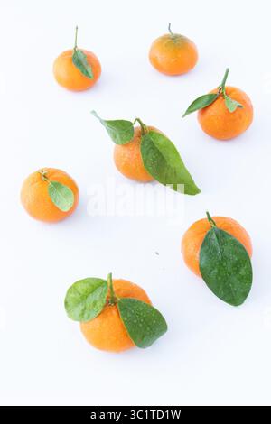 Studio shot of fresh tangerines with attached green leaves, arranged in a clean cluster on white — bright citrus ideal for seasonal, food, or health-r Stock Photo