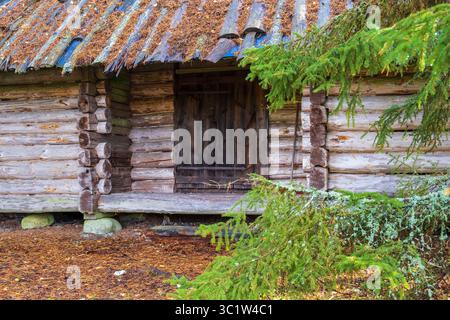 Idyllic old log cabin in a forest Stock Photo