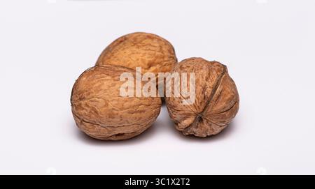 Three walnuts rest on a white surface. The walnuts have rough, textured shells with varying shades of brown. The shells are partially open, revealing Stock Photo