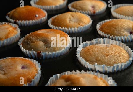 Individual gluten free muffins Stock Photo