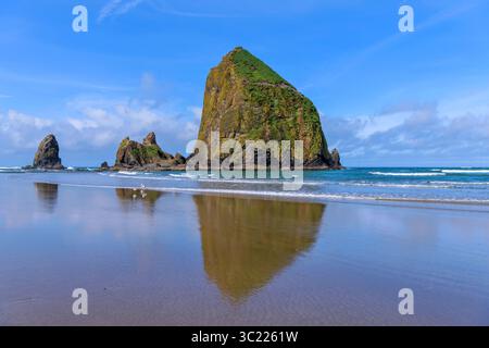 Haystack Rock - A sunny Spring morning view of famous Haystack Rock reflecting on smooth sandy Cannon Beach. Oregon, USA. Stock Photo