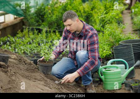 Man planting young seedling in garden soil at greenhouse, working with trowel among plant pots and saplings. Stock Photo