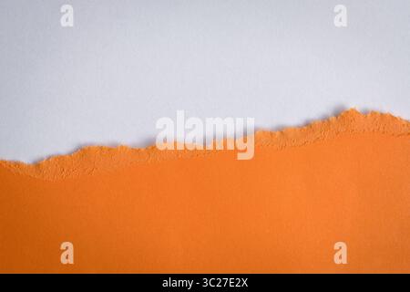 Torn orange paper into half rest on top of white color paper. For banner advertising, copy space. Stock Photo