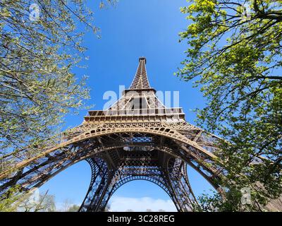 eiffel tower through trees Stock Photo