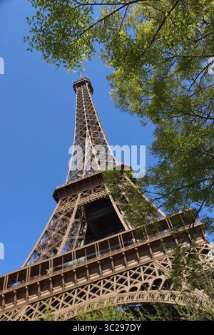 eiffel tower through trees Stock Photo