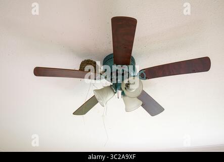 A bird's nest resting on top of a ceiling fan inside an abandoned house. Stock Photo