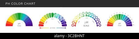 PH value Scale. Set of Color charts with pH level. Scale indicator for litmus paper test. Vector illustration isolated on white background Stock Vector