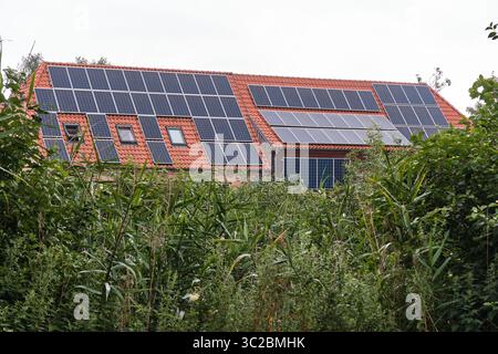 July 16, 2025 – Klockenhagen-Germany: Solar panels cover the roof and façade of a historic farmhouse at the open-air museum, seen from behind bushes w Stock Photo