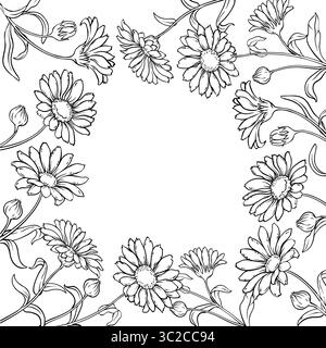 Calendula Plant with Flowers Outline Frame. Stock Vector