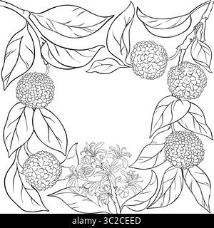 Calodendrum Branch with Fruits Outline Frame Stock Vector