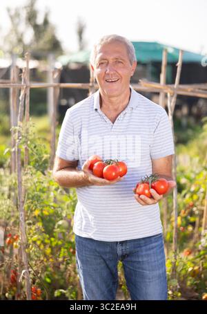 Elderly positive man posing with red tomatoes in garden Stock Photo