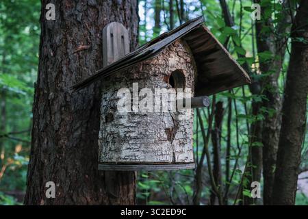 A birdhouse made of birch wood is hanging from a tree. The birdhouse is small and has a pointed roof Stock Photo