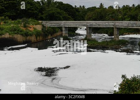 June 13, 2019 - Bangalore, Karnataka, India - A view of a polluted Vrushabhavathi Reservoir at Bidadi in Bangalore..The source for irrigation is the Vrushabhavathi Reservoir which is heavily polluted by industrial waste and all the waste flushed out from the city. (Credit Image: © Meghana Sastry/SOPA Images via ZUMA Wire) Stock Photo