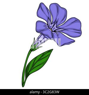 Delicate vector illustration of a single periwinkle flower with a detailed stem and leaf, showcasing vibrant purple petals and rich green foliage. Stock Vector