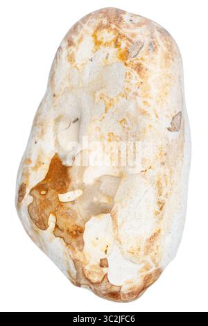 Top view of single yellow pebble isolated on white background. Stock Photo
