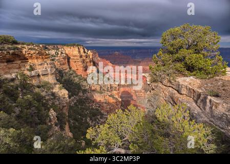 Storm rolling over Grand Canyon viewed from the Walhalla Overlook on North Rim Arizona. Stock Photo