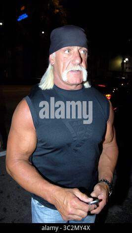 SMG Hogans Divorce 112407 08 ALL IMAAGES TAKEN 2004-2007: TMZ has obtained a document from the Pinellas County Court website which states that Hulk Hogan's wife has filed for divorce. According to the document, Linda Marie Bollea (Linda's married name) filed for divorce on Tuesday, November 20 against Terry Gene Bollea (the Hulk's legal name). The document we have does not state the reason for the divorce. The news first appeared on WTVT, the FOX affiliate in Tampa Bay, Fla. By now you know that last August, their son Nick Hogan crashed his Supra, and his passenger/good friend remains Stock Photo