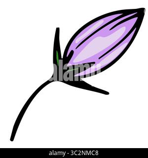 A vector stylized illustration of a purple bellflowers bud with green leaves and a black stem, showcasing a simple and modern design. Stock Vector