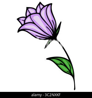 A vector stylized illustration of a purple bellflowers with a long green stem and leaves, featuring a simplistic and vibrant design. Stock Vector