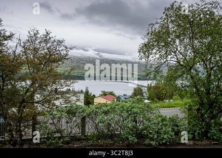 View from the botanical gardens across the fjord to snow capped mountains in Akureyri, Iceland on 6 June 2025 Stock Photo