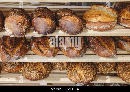 Freshly baked artisan bread loaves on wooden shelves Stock Photo