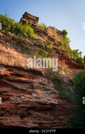 Close-up of the weathered red sandstone cliff face at Château du Falkenstein, streaked with moss and small plants. Stock Photo