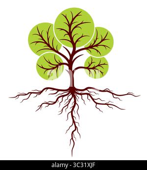Big green tree with roots. Stock Vector