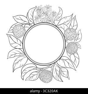 Calodendrum Branch Outline Round Frame. Stock Vector