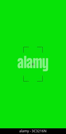 Chromakey green screen vertical phone frame vfx. Greenscreen cellphone video film screen template, overlay. Cinema display with grid. Vector illustration Stock Vector