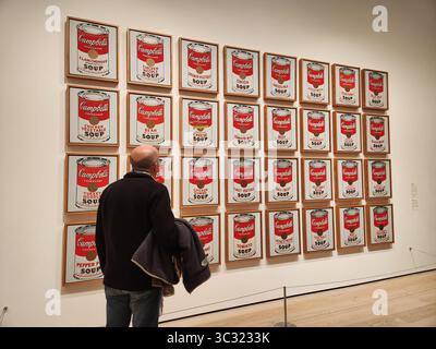 male looking at an andy warhol at moma new york Stock Photo