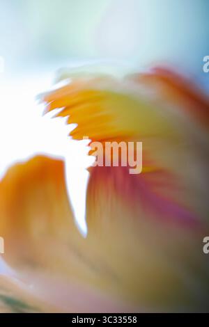 Background of Painterly Abstract Flowers Stock Photo
