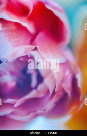Background of Painterly Abstract Flowers Stock Photo